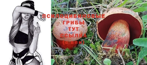мет Мегион