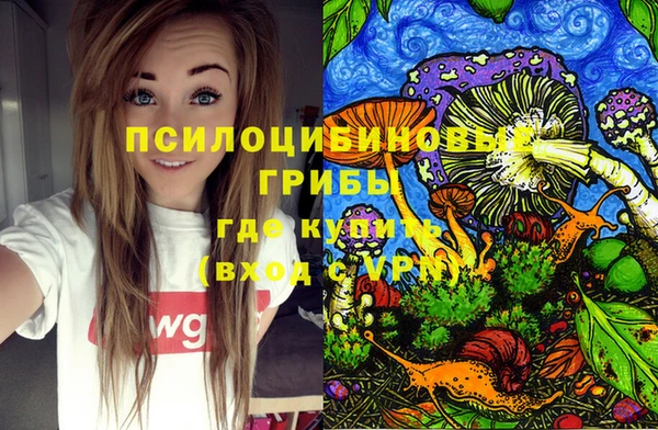 таблы Алзамай