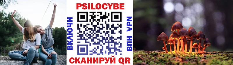 Галлюциногенные грибы Psilocybe  Дзержинск 